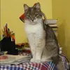 Отзыв от Галина Мешкова
